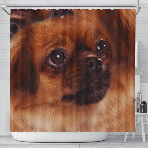 Tibetan Spaniel Dog Print Shower Curtain