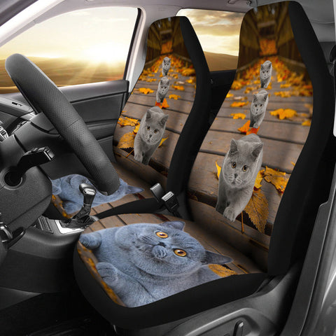 British Shorthair Cat Print Car Seat Covers