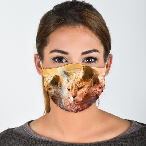 Lovely Selkirk Rex Print Face Mask