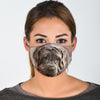 Amazing Neapolitan Mastiff Print Face Mask