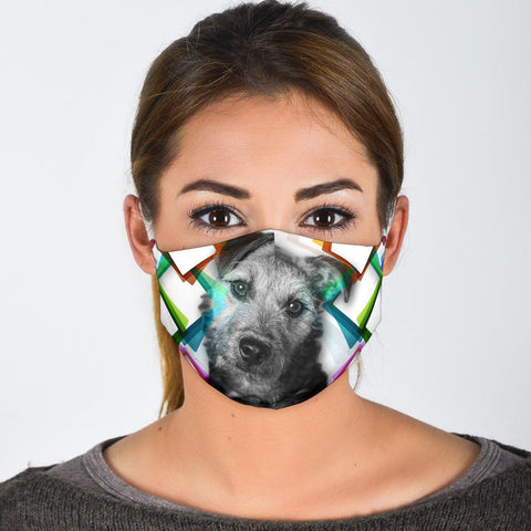 Lakeland terrier Print Face Mask