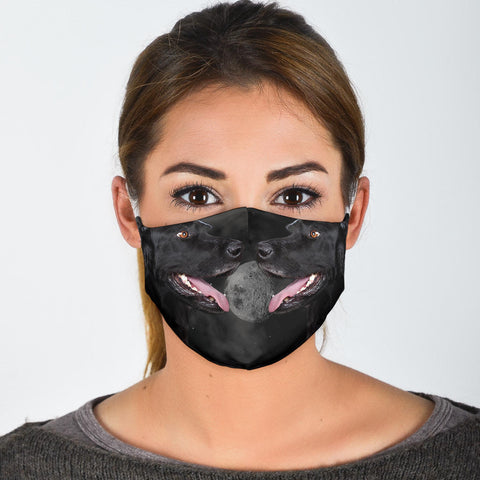 Flat Coated Retriever Print Face Mask