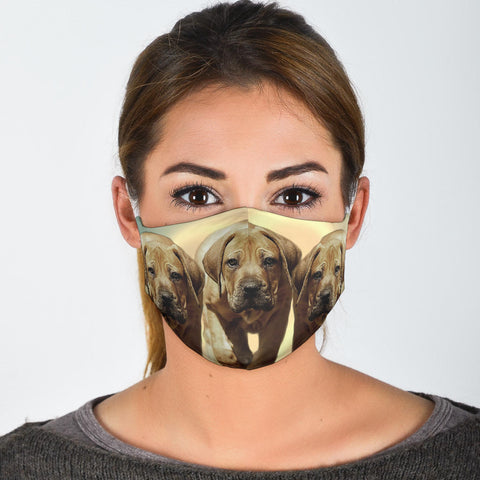 Cute Boerboel Print Face Mask