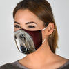 Afghan Hound On Red Print Face Mask