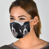 Greater Swiss Mountain Dog Print Face Mask- Limited Edition