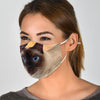 Lovely Tonkinese Cat Print Face Mask