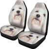 Coton de Tulear Dog Print Car Seat Covers