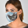 Korat Cat Print Face Mask