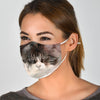 Maine Coon Print Face Mask -Limited Edition