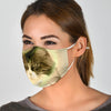 Cute Maine Coon Cat Print Face Mask