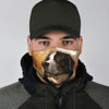 Lovely Bernese Mountain Dog Print Face Mask