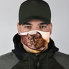 Amazing Exotic Shorthair Print Face Mask