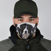 Greater Swiss Mountain Dog Print Face Mask- Limited Edition