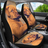 Dogue De Bordeaux (Bordeaux Mastiff) Puppy Print Car Seat Covers