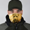 Lovely Welsh Terrier Print Face Mask