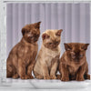 Three Burmese Cat Print Shower Curtain