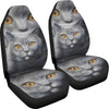 Russian Blue Cat Print Car Seat Covers