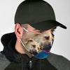 Cute Three Anatolian Shepherd Print Face Mask