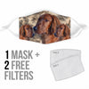 Lovely Irish Setter Print Face Mask