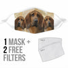 Lovely Bloodhound Print Face Mask