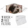 Lovely Spanish Water Dog Print Face Mask