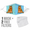 Cute Somali Cat Print Face Mask