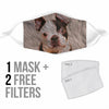 Boston Terrier Print Face Mask-Limited Edition