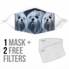 Lovely Lhasa Apso Print Face Mask