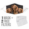 Cute Vizsla Print Face Mask