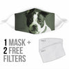 Boston Terrier Print Face Mask