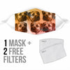 Border Terrier Print Face Mask