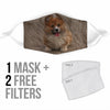 Pembroke Welsh Corgi Print Face Mask