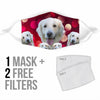 Golden Retriever On Red Print Face Mask