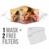 Lovely Selkirk Rex Print Face Mask