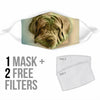 Neapolitan Mastiff Print Face Mask