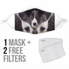 Border Collie Print Face Mask