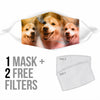 Icelandic Sheepdog Print Face Mask- Limited Edition