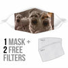 Soft Coated Wheaten Terrier Print Face Mask- Limited Edition