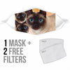 Lovely Tonkinese Cat Print Face Mask