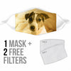 Jack Russell Terrier Print Face Mask