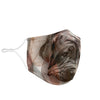 Amazing Neapolitan Mastiff Print Face Mask