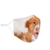 Nova Scotia Duck Tolling Retriever Print Face Mask