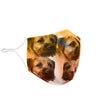 Border Terrier Print Face Mask