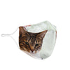 Lovely American Shorthair Print Face Mask