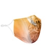 Somali Cat Print Face Mask