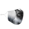 Cute Siamese Cat Print Face Mask- Limited Edition