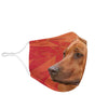 Amazing Rhodesian Ridgeback Print Face Mask