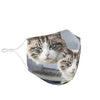 Ragamuffin Cat Print Face Mask