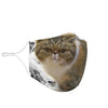 Exotic Shorthair Print Face Mask- Limited Edition