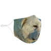 Great Pyrenees Dog Print Face Mask